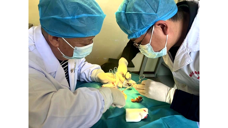 VSD(負(fù)壓封閉引流）技術(shù)開(kāi)展